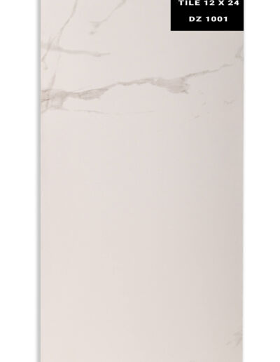 DZ 1001 - Aace Floors