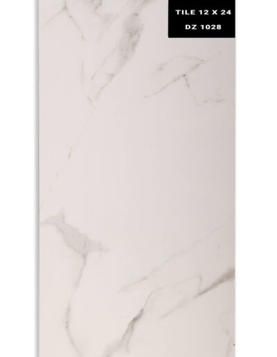 DZ 1028 - Aace Floors