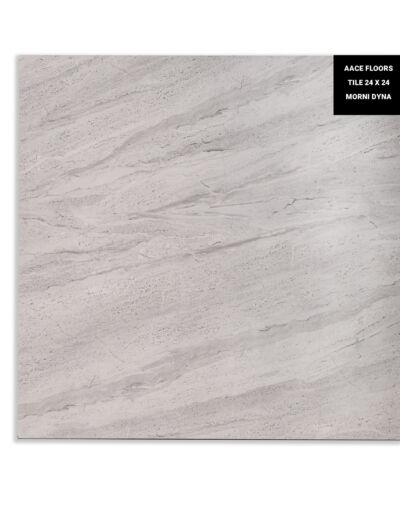 MORNI DYNA 24x24 1 - Aace Floors